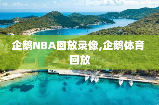 企鹅NBA回放录像,企鹅体育 回放