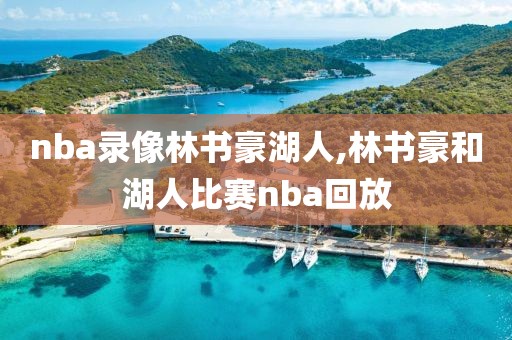 nba录像林书豪湖人,林书豪和湖人比赛nba回放