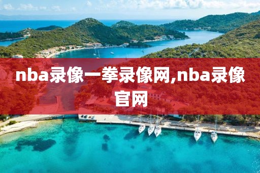 nba录像一拳录像网,nba录像官网
