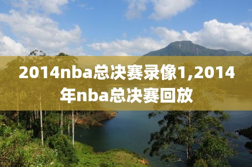 2014nba总决赛录像1,2014年nba总决赛回放