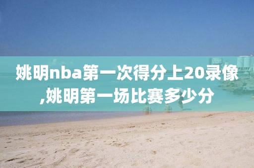 姚明nba第一次得分上20录像,姚明第一场比赛多少分