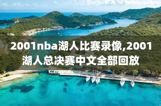 2001nba湖人比赛录像,2001湖人总决赛中文全部回放