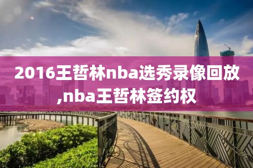 2016王哲林nba选秀录像回放,nba王哲林签约权