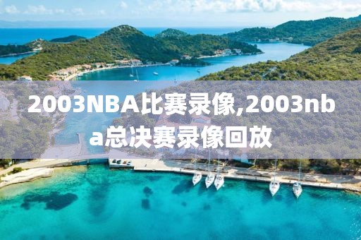 2003NBA比赛录像,2003nba总决赛录像回放