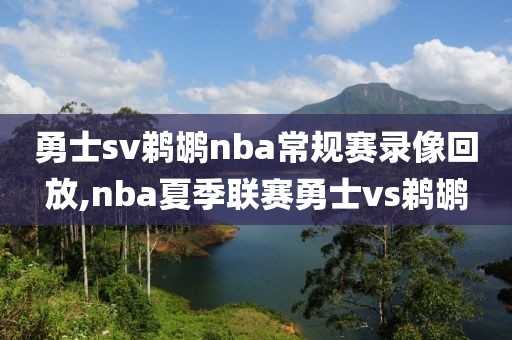 勇士sv鹈鹕nba常规赛录像回放,nba夏季联赛勇士vs鹈鹕