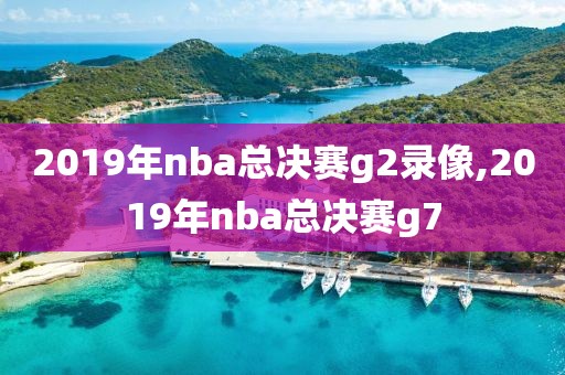 2019年nba总决赛g2录像,2019年nba总决赛g7