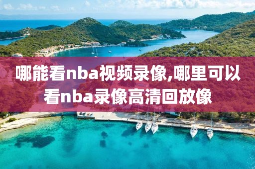 哪能看nba视频录像,哪里可以看nba录像高清回放像