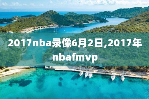 2017nba录像6月2日,2017年nbafmvp
